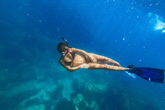 Half Day Cabo Snorkel Adventure with Lunch and Open Bar - A Cabo snorkel trip built around two bays