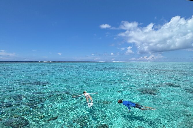 Half day Eco Snorkeling small group Tour in Bora Bora - Key details to know before booking