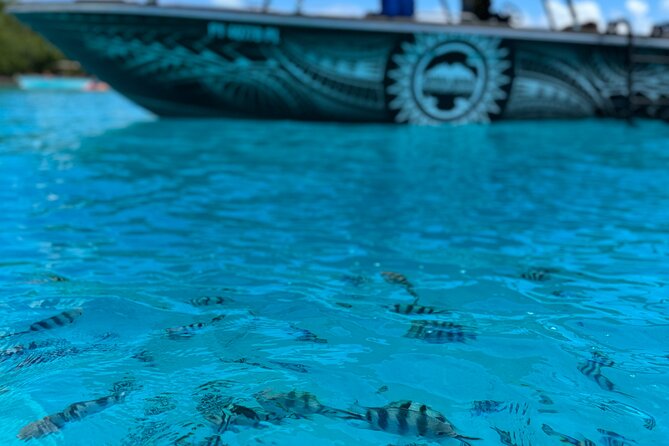 Half day Eco Snorkeling small group Tour in Bora Bora - Guides who make the difference