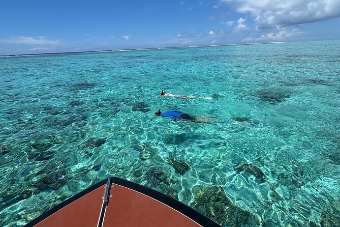 Half day Eco Snorkeling small group Tour in Bora Bora - Is this Bora Bora snorkeling tour worth booking?