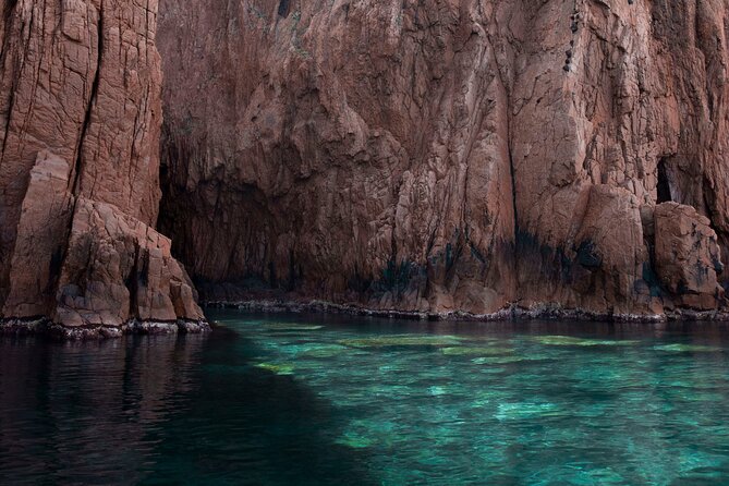half-day excursion / snorkeling calanques de piana-capo rosso - Who should book this excursion