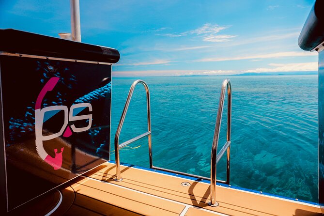 Half Day Great Barrier Reef Snorkeling Tour - Key points to know before booking