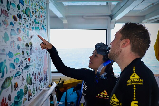 Half Day Great Barrier Reef Snorkeling Tour - Practical tips for a smoother outing