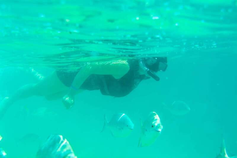 Half Day Guided Snorkel Tour in Los Cabos - Key points to know before booking