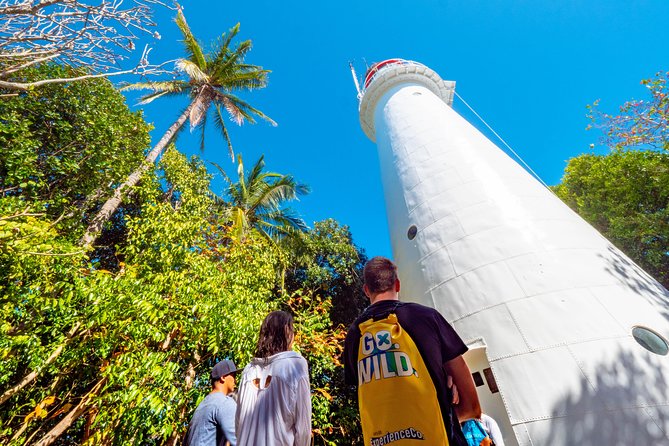 Half Day Low Isles Snorkelling Tour from Port Douglas - Key points at a glance