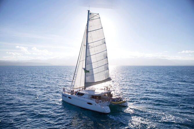 Half Day Low Isles Snorkelling Tour from Port Douglas - Snacks, drinks, and the timing of the day
