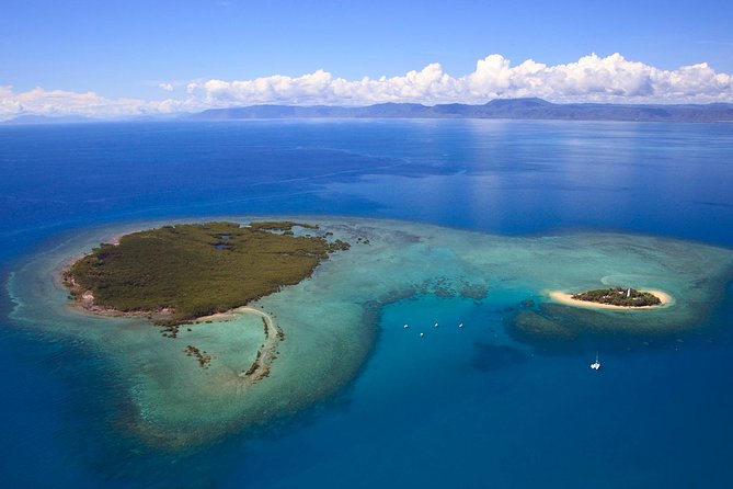 Half Day Low Isles Snorkelling Tour from Port Douglas - Who will enjoy this Calypso trip most?