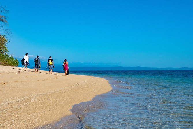Half Day Low Isles Snorkelling Tour from Port Douglas - Three ways to experience Low Isles