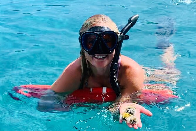 Half Day Luxury Catamaran Turtle Snorkel And Beach - The essentials at a glance
