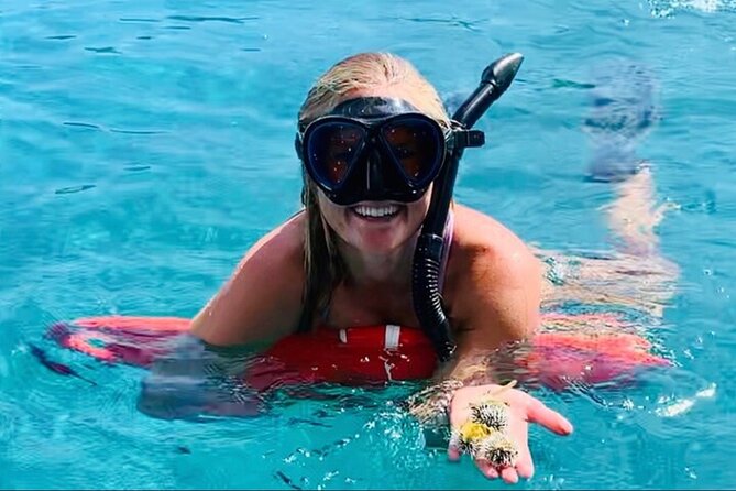 Half Day Luxury Catamaran Turtle Snorkel And Beach - Why the 12-person limit matters on St. Thomas