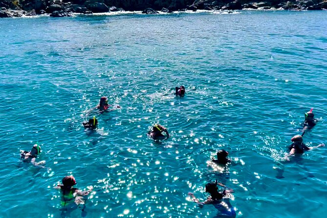 Half Day Luxury Catamaran Turtle Snorkel And Beach - Turtle Cove at Buck Island National Wildlife Refuge