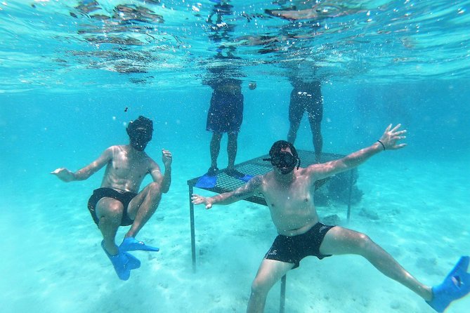 Half-Day Muri Lagoon BBQ Lunch Cruise including Snorkeling - Key points to know before you book