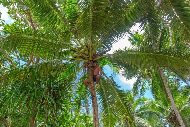 Half-Day Muri Lagoon BBQ Lunch Cruise including Snorkeling - Timing, comfort, and what to bring