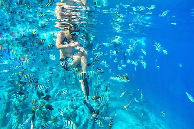 Half-Day Private Guided Snorkeling Turtles Underwater Statues - Key points to know before you book