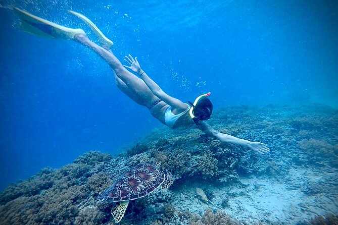 Half-Day Private Guided Snorkeling Turtles Underwater Statues - Swimming ability and equipment concerns