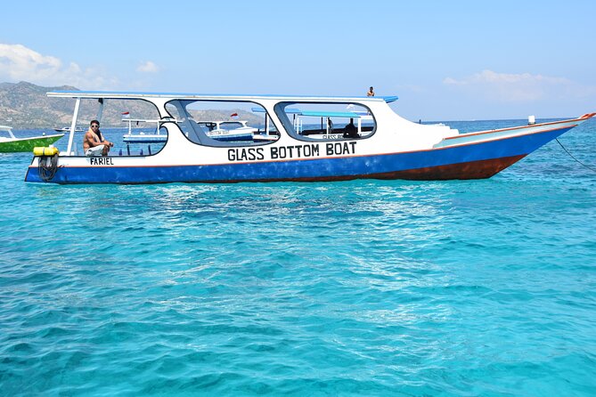 Half-Day Private Guided Snorkeling Turtles Underwater Statues - Boat service, pickup and timing