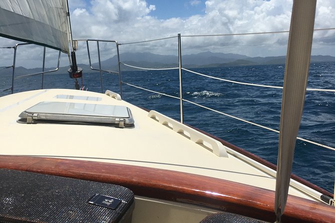 Half Day Sail and Snorkel with the Turtles - Key points at a glance