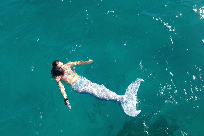 Half Day Sail and Snorkel with the Turtles - What Captain Mike and Nikki add to the day