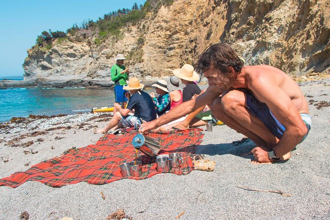 Half Day Sea Kayak Tour from Batemans Bay with Morning Tea - Morning tea on a secluded beach