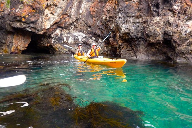 Half Day Sea Kayak Tour from Batemans Bay with Morning Tea - Swim, snorkel, rock jump, or walk