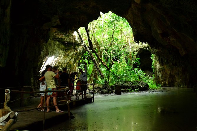 Half-Day Sea Turtle and Cenote Snorkeling Tour from Cancun & Riviera Maya - Why the turtle and cenote combination works