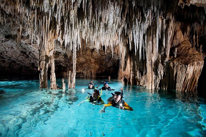Half-Day Sea Turtle and Cenote Snorkeling Tour from Cancun & Riviera Maya - The walk into Parque de Cenotes Yax-Muul