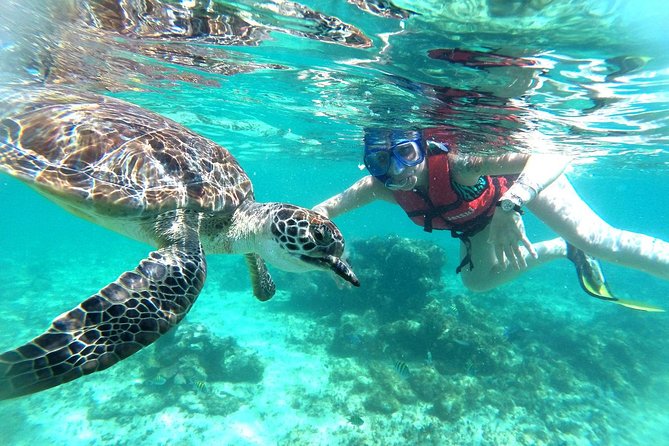 Half-Day Sea Turtle and Cenote Snorkeling Tour from Cancun & Riviera Maya - Guides, safety, and the right swimming level