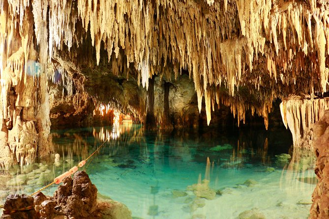 Half-Day Sea Turtle and Cenote Snorkeling Tour from Cancun & Riviera Maya - Food, photos, and the extra-cost questions