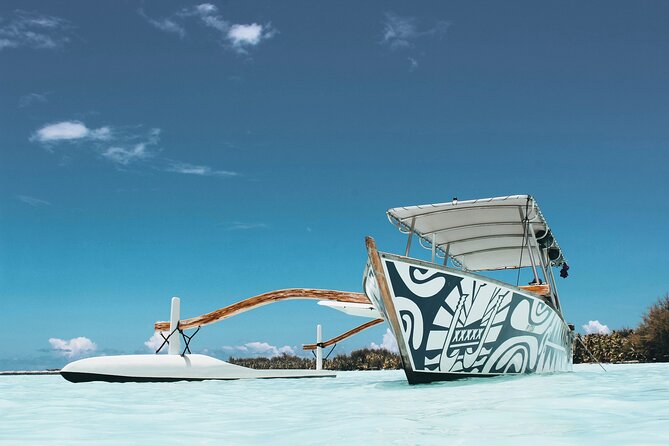 Half-Day Small-Group Cruise in Bora Bora with Snorkelling - How safe and easy is it for beginners?