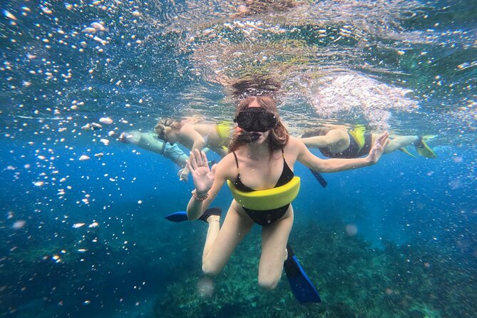 Half Day Snorkel from Providenciales with Visit to Half Moon Bay - The boat slide, mangroves, and extra swimming time