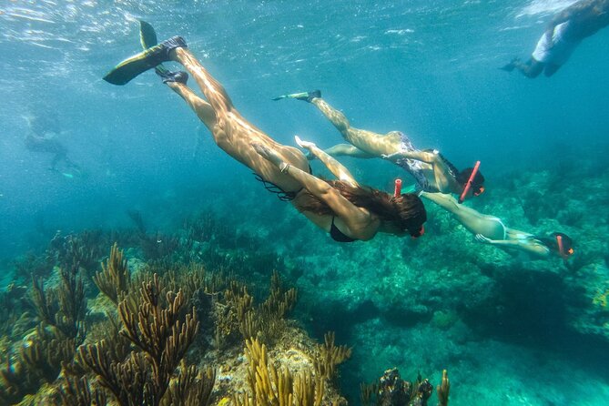 Half Day Snorkel from Providenciales with Visit to Half Moon Bay - How the $140 price measures up