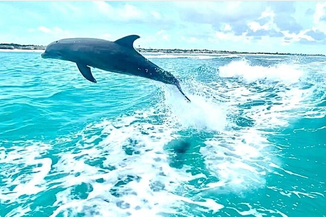 Half Day Snorkel from Providenciales with Visit to Half Moon Bay - Half Moon Bay and the quiet appeal of Iguana Island