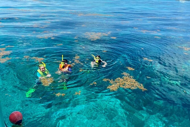 Half Day Snorkel Trip on Reefs in the Florida Keys - John Pennekamp Coral Reef State Park and Christ of the Abyss