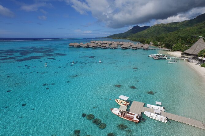 Half Day Tour : Moorea Snorkeling & Sailing on a Catamaran named Taboo - Coral gardens, fish, and underwater tikis