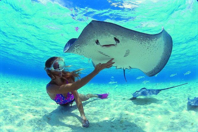 Half Day Tour : Moorea Snorkeling & Sailing on a Catamaran named Taboo - What the weather can change