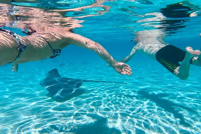 Half Day Tour : Moorea Snorkeling & Sailing on a Catamaran named Taboo - Ōpūnohu Bay and the first views