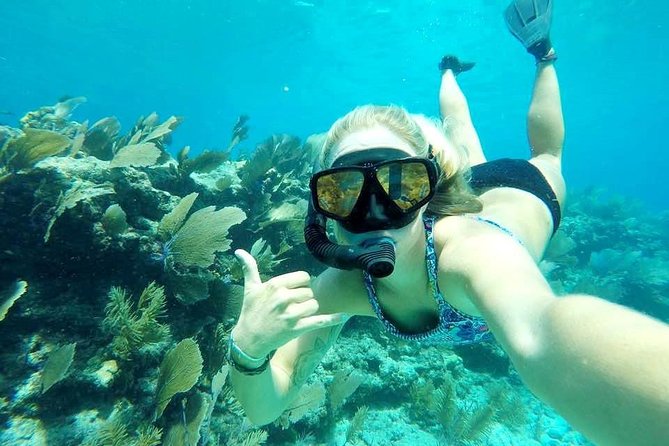 Half-Day Trip from Key West with Kayaking, Snorkeling & Sunset - Kayaking through mangrove channels