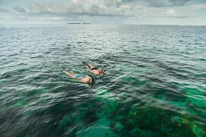 Half-Day Trip from Key West with Kayaking, Snorkeling & Sunset - How the crew shapes the day