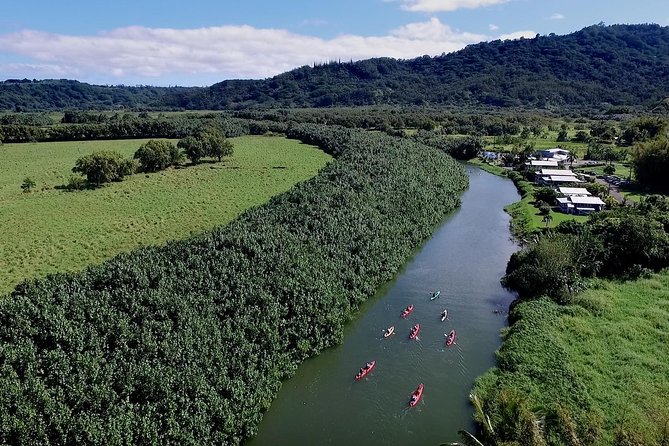 Hanalei Bay Morning Kayak and Snorkel Tour - Paddling quietly along the Hanalei River