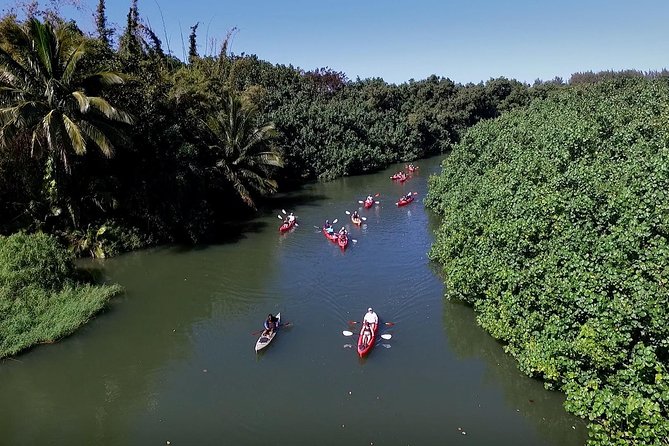 Hanalei Bay Morning Kayak and Snorkel Tour - What the $160.49 price includes