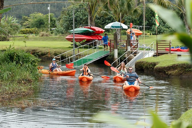 Hanalei Bay Morning Kayak and Snorkel Tour - Who will enjoy this Hanalei outing?