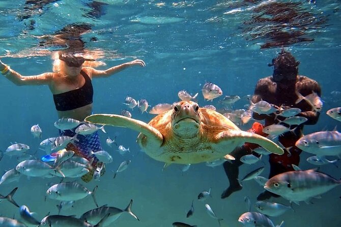 Harbour Lights-Chair &Turtle Shipwreck Snorkel Tour(10:30-1:30pm) - Finding your reserved chair on Carlisle Bay