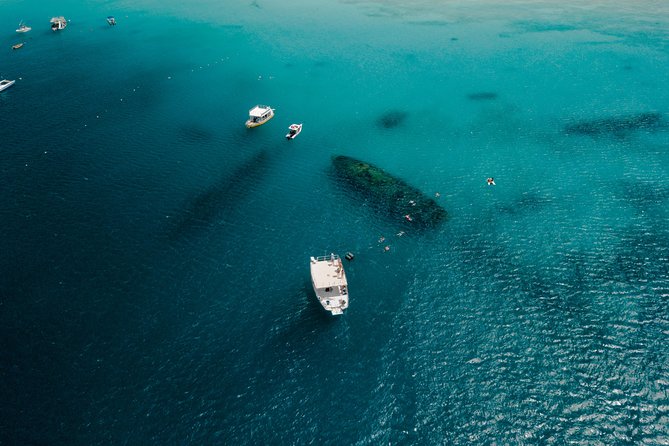 Harbour Lights-Chair &Turtle Shipwreck Snorkel Tour(10:30-1:30pm) - The Koopa Troopa ride to the wrecks