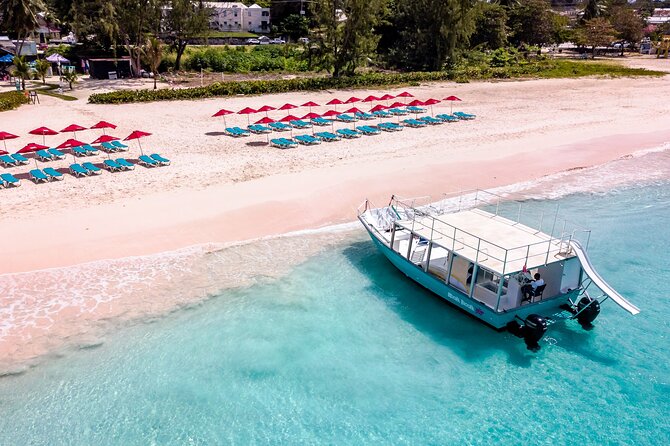 Harbour Lights-Chair &Turtle Shipwreck Snorkel Tour(10:30-1:30pm) - Shipwrecks, coral, fish, and the turtle search