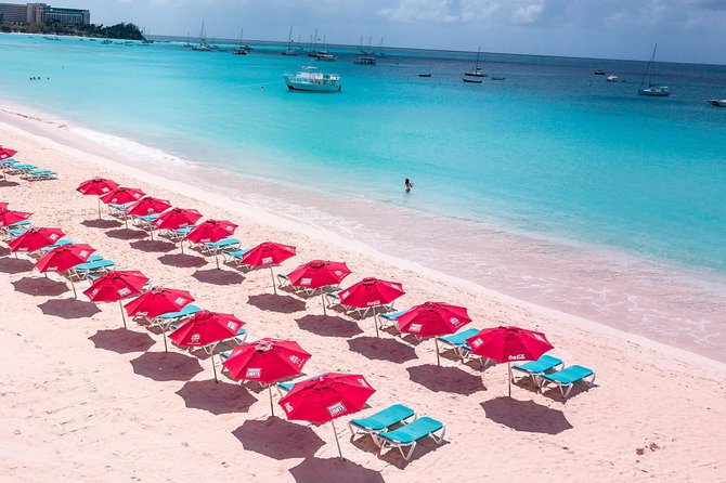 Harbour Lights-Chair &Turtle Shipwreck Snorkel Tour(10:30-1:30pm) - Food, drinks, and the rest of your beach afternoon