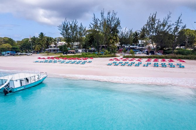 Harbour Lights-Chair &Turtle Shipwreck Snorkel Tour(10:30-1:30pm) - Who should book this Carlisle Bay outing