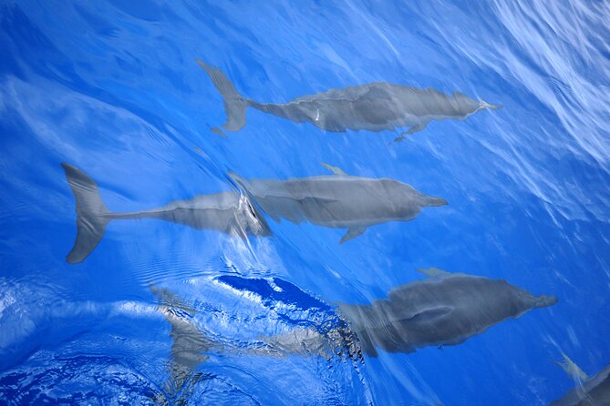 Hawaiian Sail and Snorkel in Kailua-Kona, Hawaii - Sailing from Keauhou Bay on Kini Kini