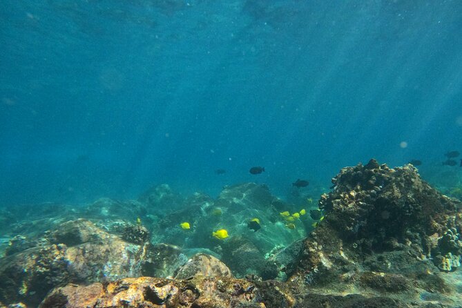 Hawaiian Sail and Snorkel in Kailua-Kona, Hawaii - Choosing the snorkeling site