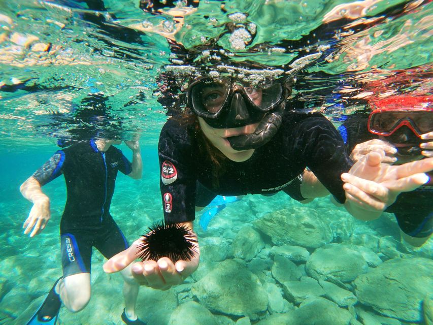 Heraklion: Beginner-Friendly Snorkeling Trip - Is $53 a Fair Price?