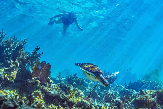 Hidden Cenote Swim: Snorkeling, Sea Turtles and Beachside Lunch - The long ride is the real price of convenience